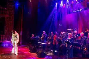 “Elvis – In Concert” chega a Curitiba no Teatro Fernanda Montenegro