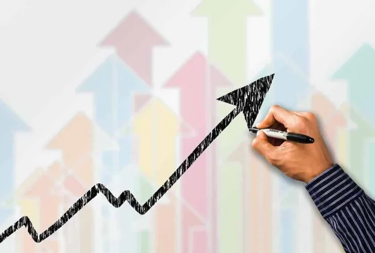 Treeunfe anuncia crescimento de 32% no primeiro semestre de 2023