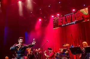 “Elvis – In Concert” dia 20 de agosto no Teatro Fernanda Montenegro