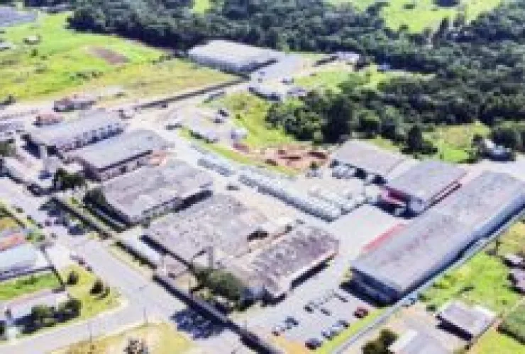 Grupo Risotolândia promove mutirão de vagas: são cerca de 300 oportunidades de emprego