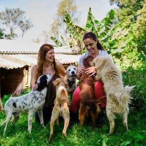 Com financiamento da Meta, curitibana lança plataforma que incentiva doações a projetos e organizações sociais