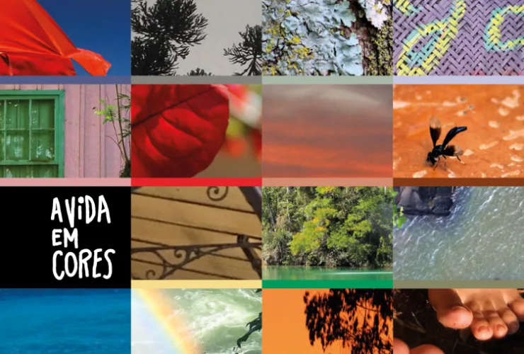 Catálogo Colorfix de Cores &amp; Tendências 2024 é inspirado na brasilidade