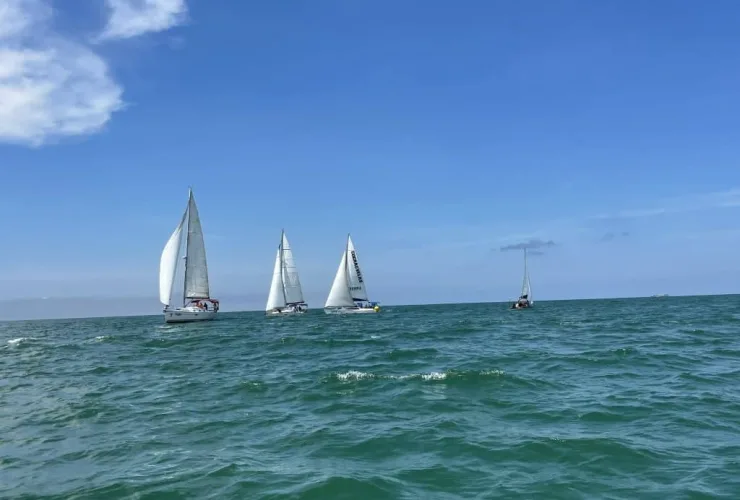 Show nas águas: competição de vela movimentou a Praia Brava neste final de semana