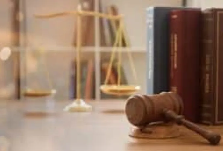 Marcas de Alto Renome e a sua Responsabilidade Civil Solidária Perante o Consumidor