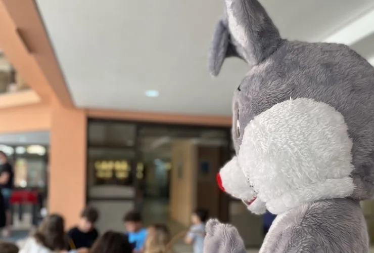 Hotéis de Jurerê Internacional apresentam atrações para os turistas no aniversário de Floripa e na Páscoa