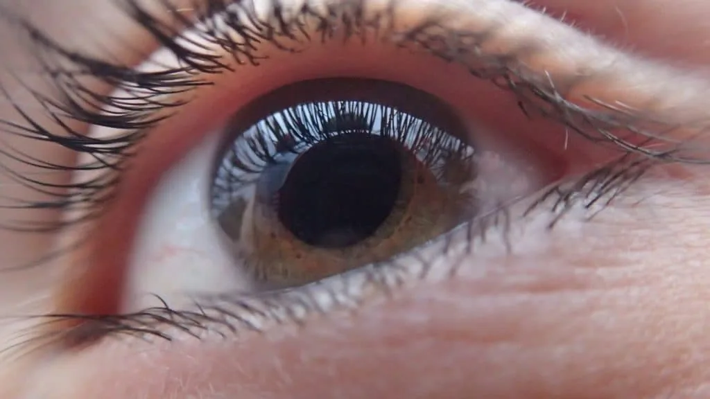 Principal causa de cegueira irreversível no mundo, Glaucoma atinge 80 milhões de pessoas, segundo OMS