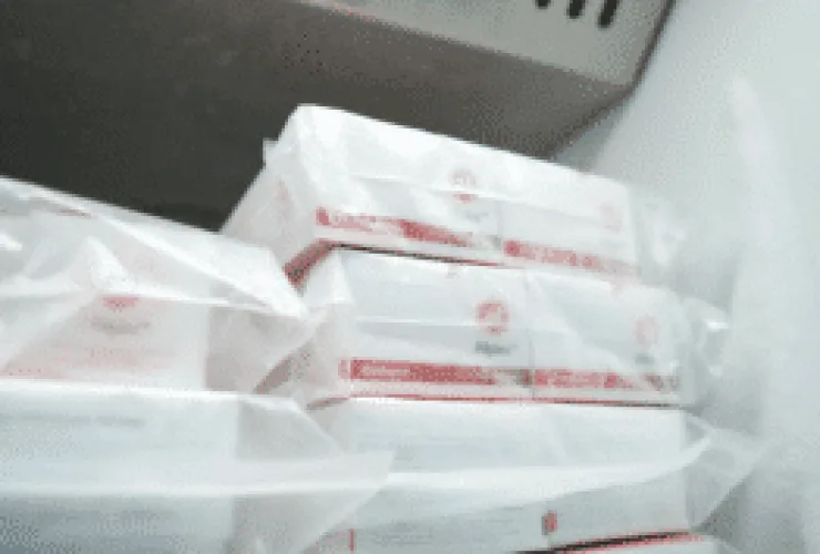 Epidemia de coqueluche na França leva Brasil a se preparar para eventual surto da doença