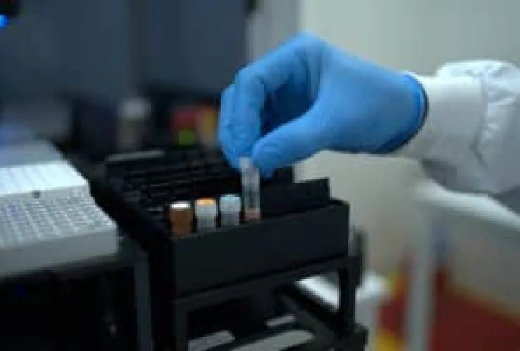 Testes já separam os 19 genótipos do HPV de alto risco dos 9 que não representam risco para câncer
