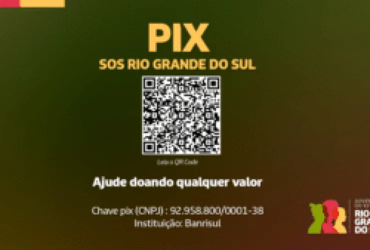 17,6 milhões de domicílios brasileiros declaram ter ajudado vítimas de enchentes do Rio Grande do Sul