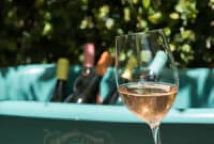 Vino! Mercadoteca recebe degustação de vinhos portugueses