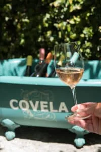 Vino! Mercadoteca recebe degustação de vinhos portugueses