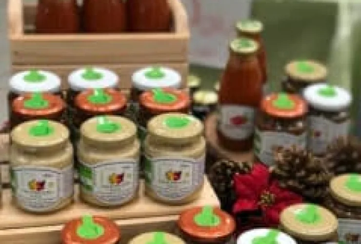 Feira Vegana da Terra destaca a diversidade de produtos na próxima edição