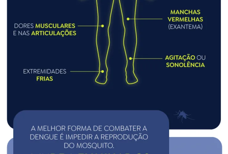 Como o Mosquito se Tornou o Animal que Mais Mata no Mundo e Como se Proteger