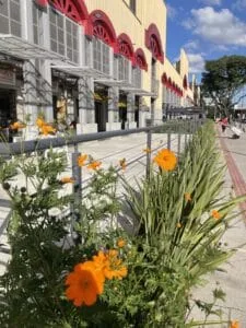 4 lugares imperdíveis em Curitiba para curtir em família neste feriado prolongado