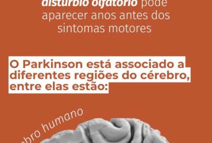 Perda de olfato em pacientes com parkinson pode ser indicador crucial para diagnóstico precoce
