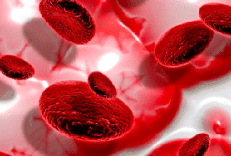 Médico do COP participa do HEMATOUpdate Curitiba para falar sobre Leucemia Linfocítica Crônica