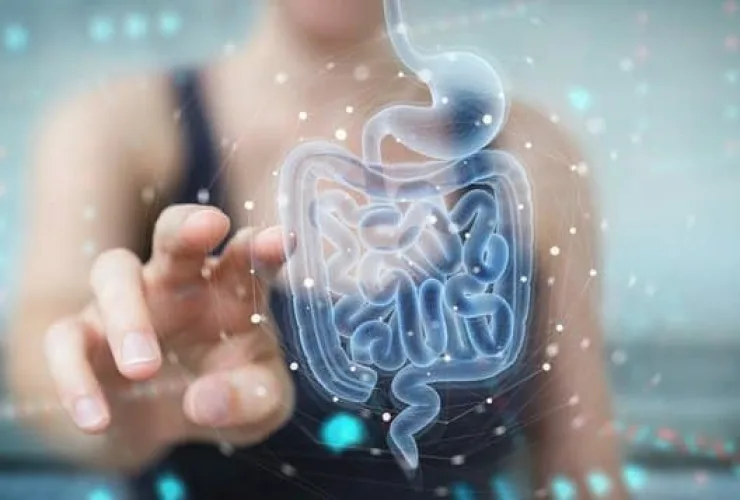 “Órgãos em chip” podem permitir avanços contra doenças  e substituir testes em animais