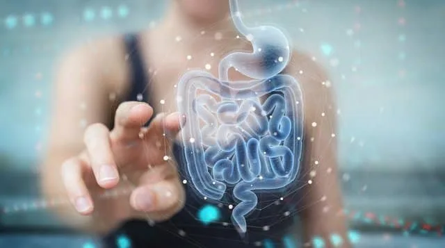 “Órgãos em chip” podem permitir avanços contra doenças  e substituir testes em animais