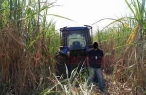 Máquinas agrícolas são alvo dos criminosos nas zonas rurais e índice de roubo e furto cresce quase 30%