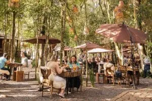 Gastronomia de bar e comida caseira entre as influencias do Menu do Chef de outubro