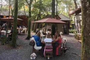 Restaurante Maria Eugênia abre nos feriados de novembro com muitas atividades para as crianças