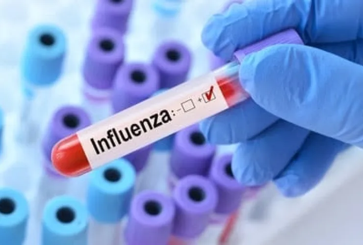 Casos de influenza B apresentam alta atípica para a estação