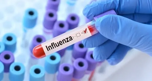 Casos de influenza B apresentam alta atípica para a estação