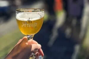 Festival Bodebrown celebra primavera com muitas atrações