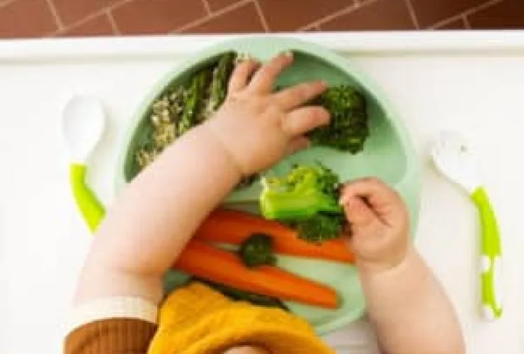 Introdução alimentar: como garantir que a criança crie bons hábitos