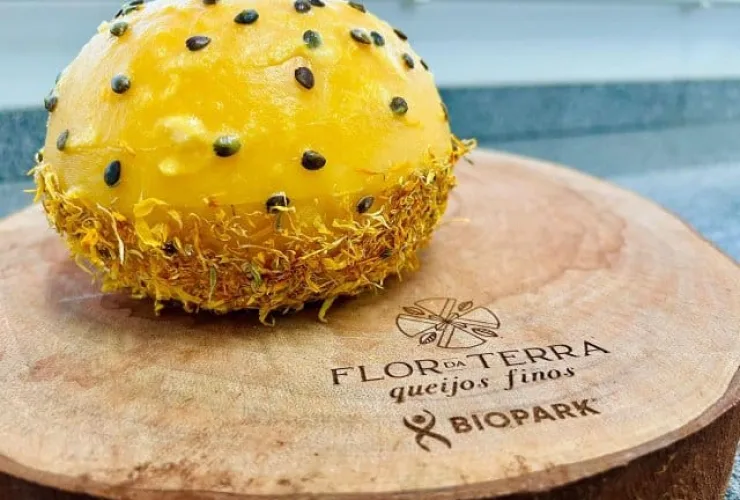 Queijos Autorais Paranaenses Conquistam o World Cheese Awards