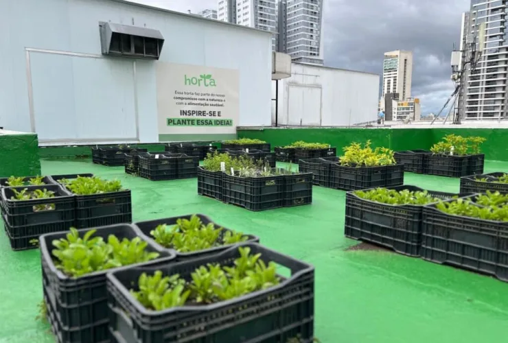 Shopping Curitiba destina 65% dos seus resíduos para reciclagem e compostagem