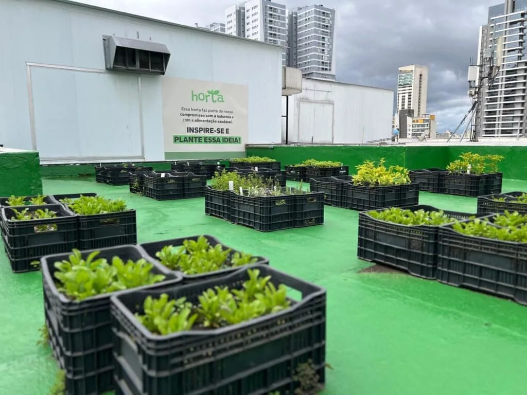 Shopping Curitiba destina 65% dos seus resíduos para reciclagem e compostagem