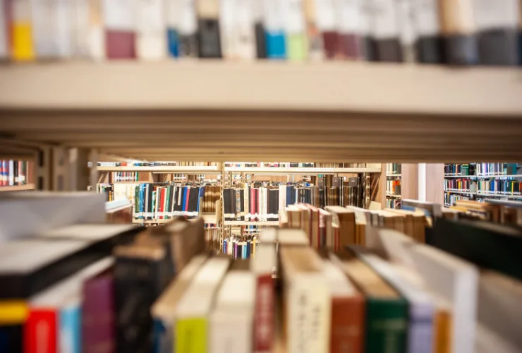 Biblioteca Pública lança a Estante Árabe – Homenagem a Jamil Snege