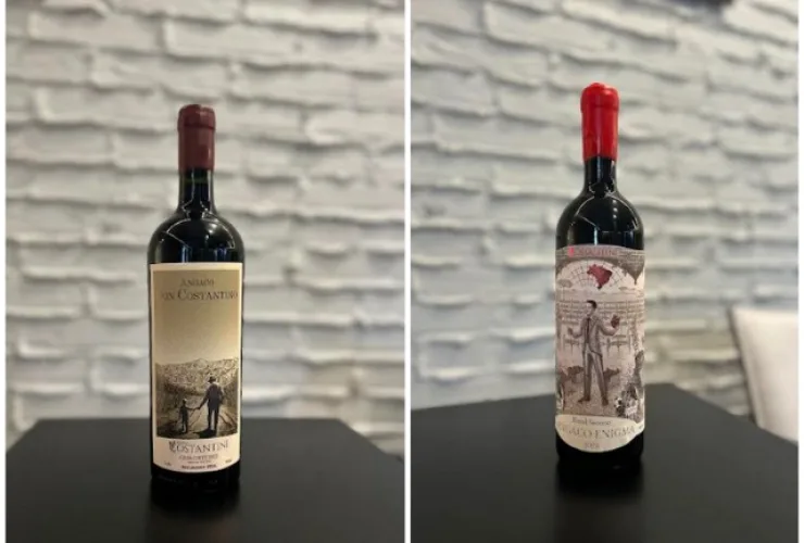 Vinhos tintos brasileiros ganham Medalha de Ouro no Vinalies 2025