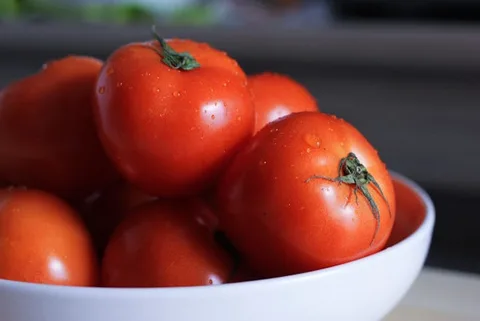 O que faz do tomate um aliado anticâncer?  Conheça os poderes do licopeno 