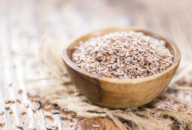 Psyllium é bom para emagrecer? Entenda os efeitos  da fibra no organismo