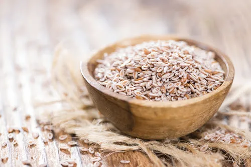 Psyllium é bom para emagrecer? Entenda os efeitos  da fibra no organismo