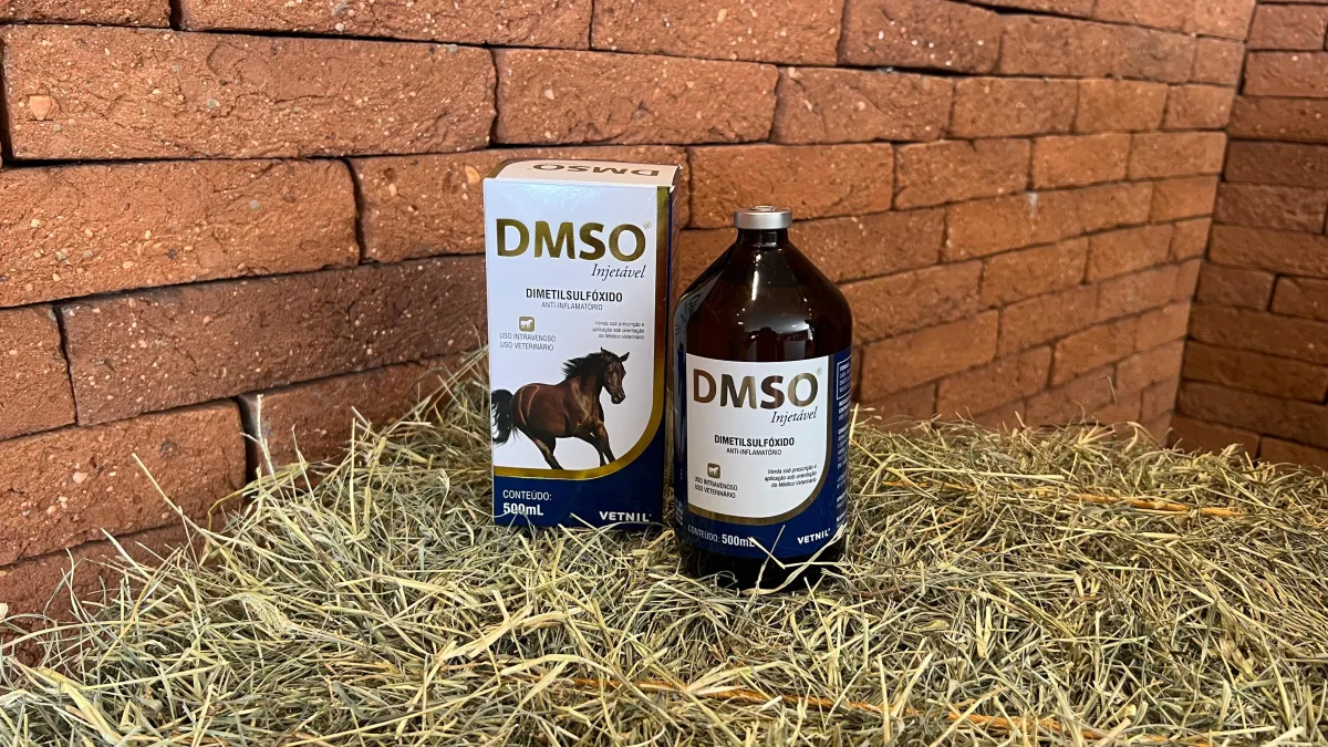 DMSO na saúde dos cavalos: molécula versátil para uso em diversas afecções
