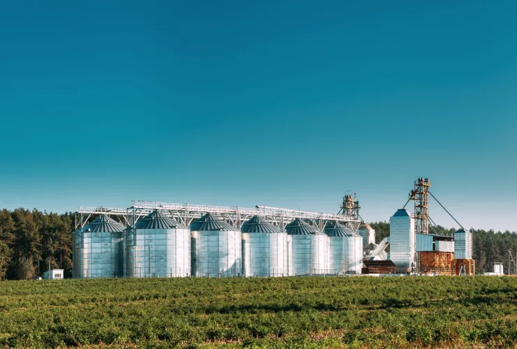 Reforma tributária acende alerta no agro: revisão fiscal pode revelar bilhões em créditos esquecidos