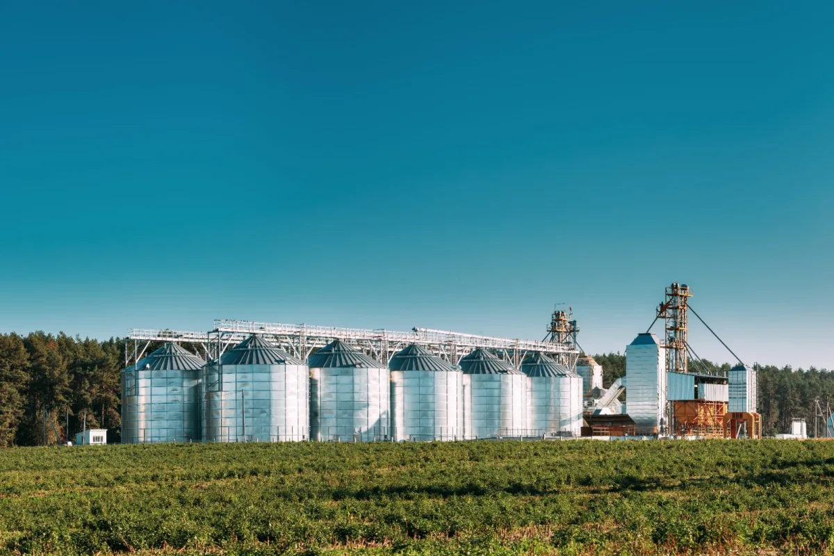 Reforma tributária acende alerta no agro: revisão fiscal pode revelar bilhões em créditos esquecidos