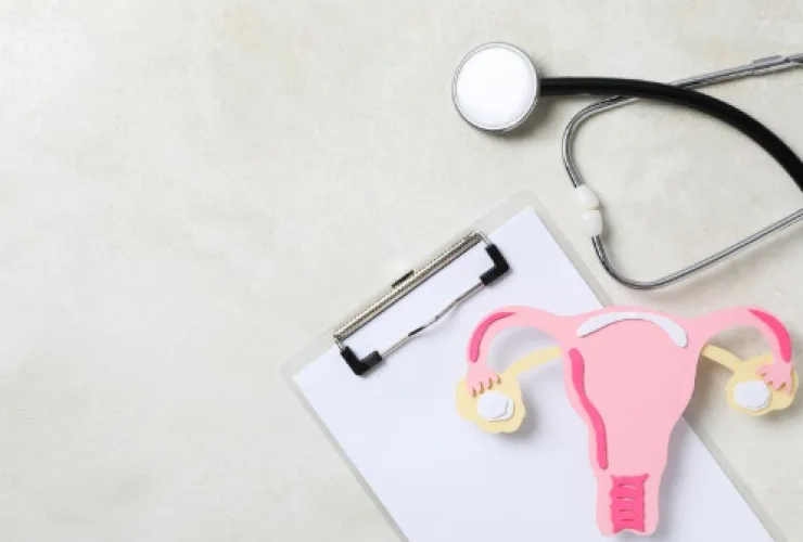 Especialista dá dicas de cuidados com a endometriose, doença afeta 1 em cada 10 mulheres no Brasil