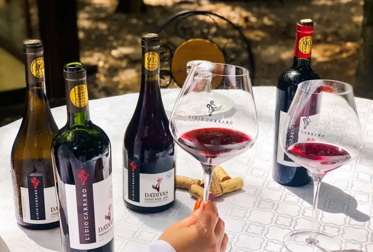 vinhos boutique brasileiros Juli Convida