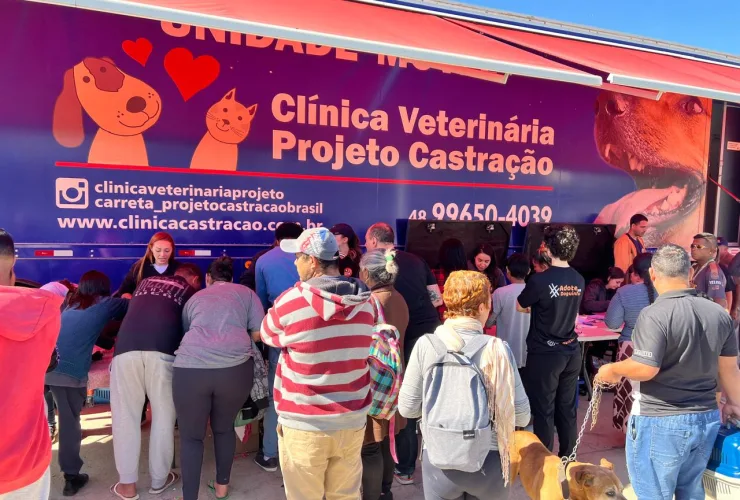 Profissional realiza castração gratuita de cão durante mutirão em Frei Damião, Grande Florianópolis