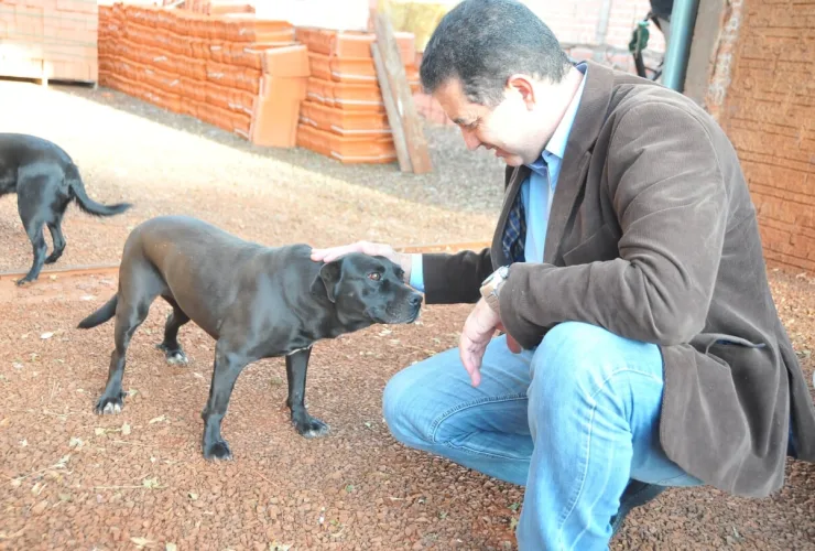 Cão resgatado representando vítimas de maus-tratos e foco da campanha Julho Dourado