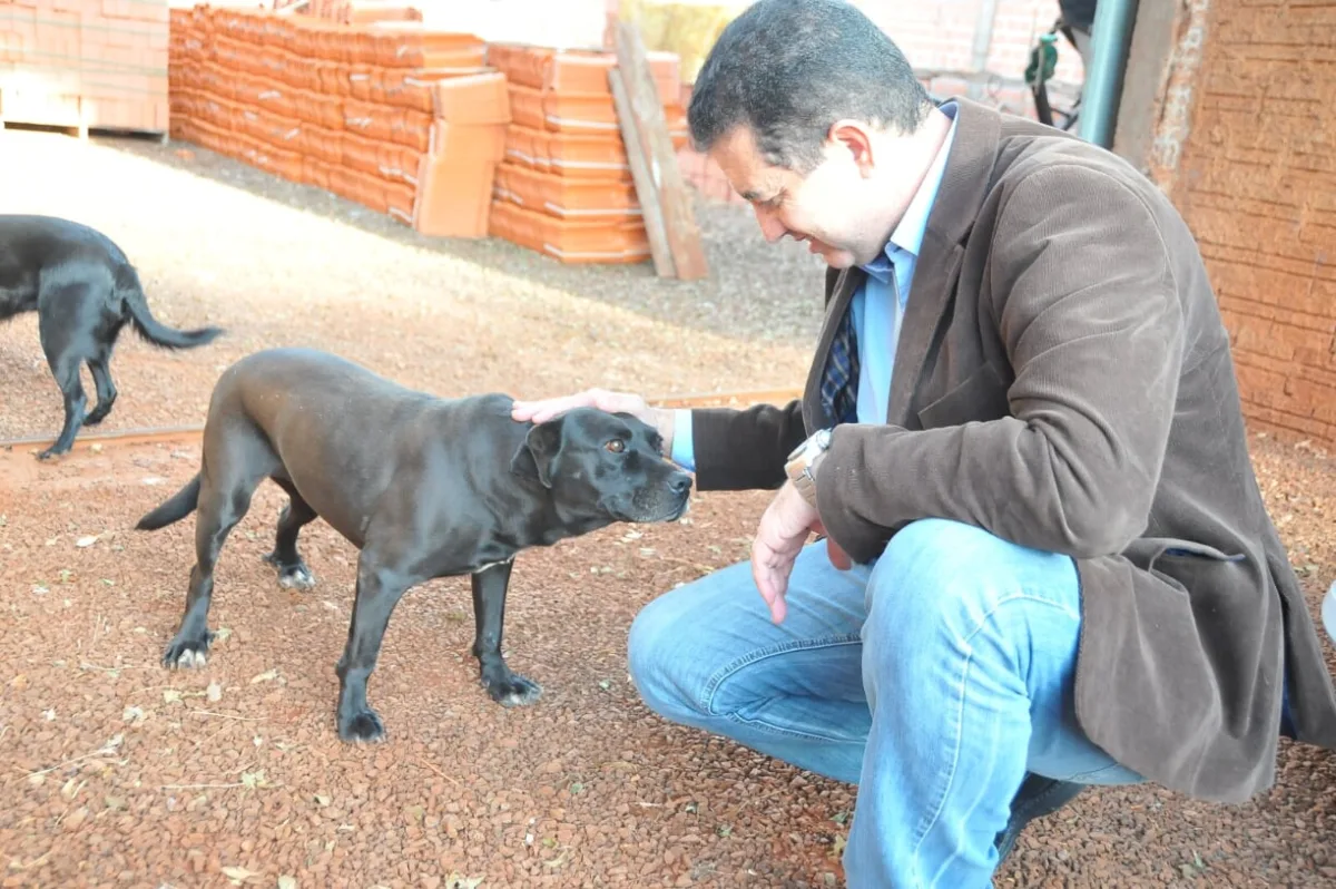 Cão resgatado representando vítimas de maus-tratos e foco da campanha Julho Dourado