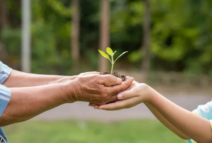 projeto educacional neutralização CO₂ escolar