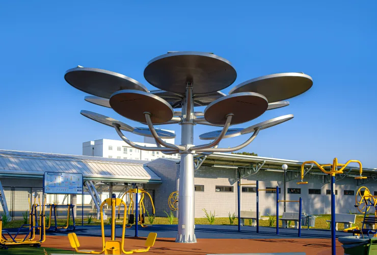 A Araucária Solar é feita com placas solares fotovoltaicas que captam energia.