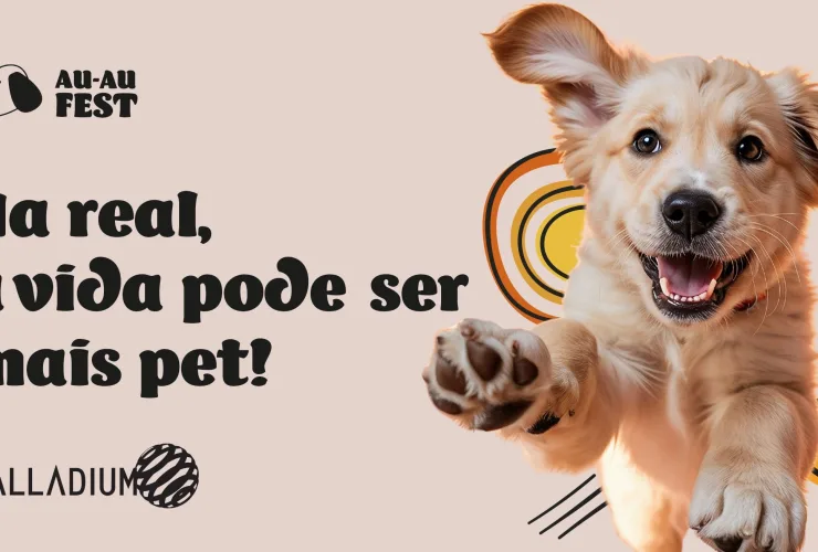 Cachorro sendo penteado em evento pet no shopping