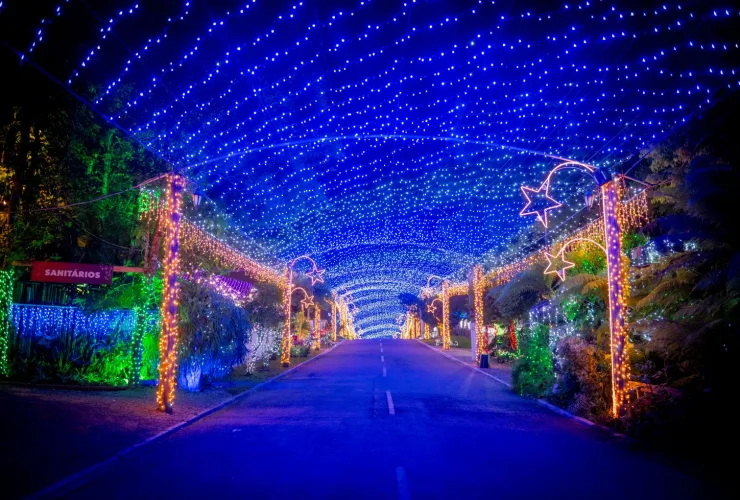 Natal em Curitiba e Réveillon nas Cataratas do Iguaçu já têm alta procura, com destaque para turismo, eventos culturais e celebrações no Paraná.