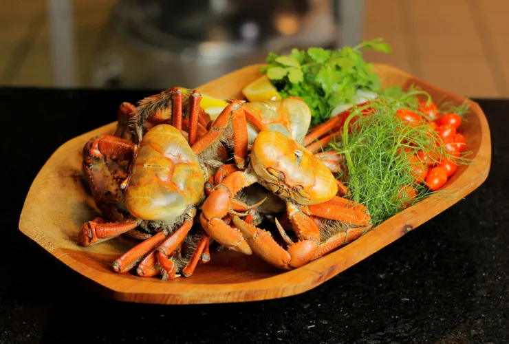 Pratos variados de peixes grelhados em evento gastronômico